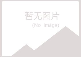 中山区小夏艺术有限公司